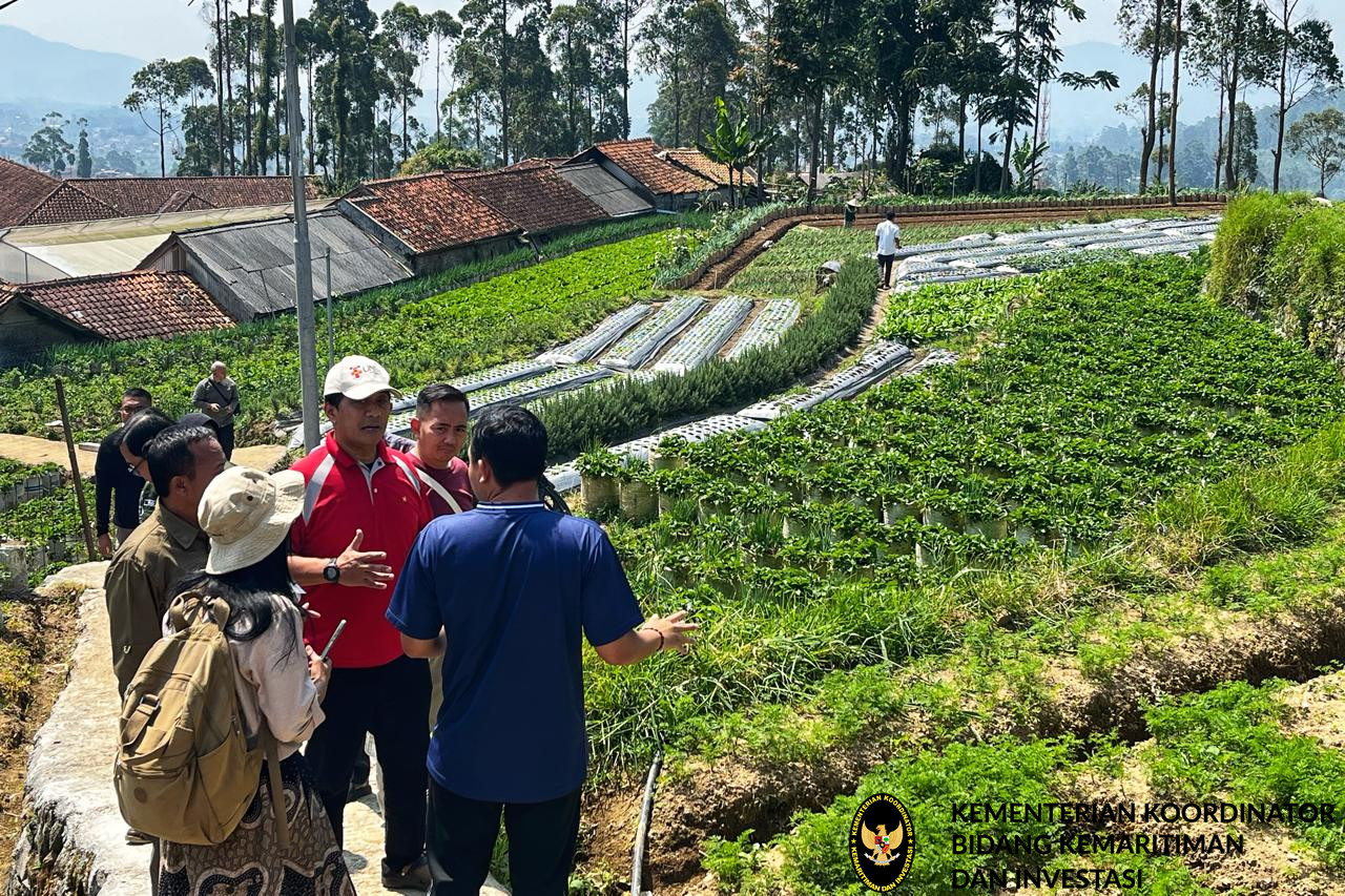 Kemenko Marves Koordinasikan Pembangunan Food Hub Baru di Rebana