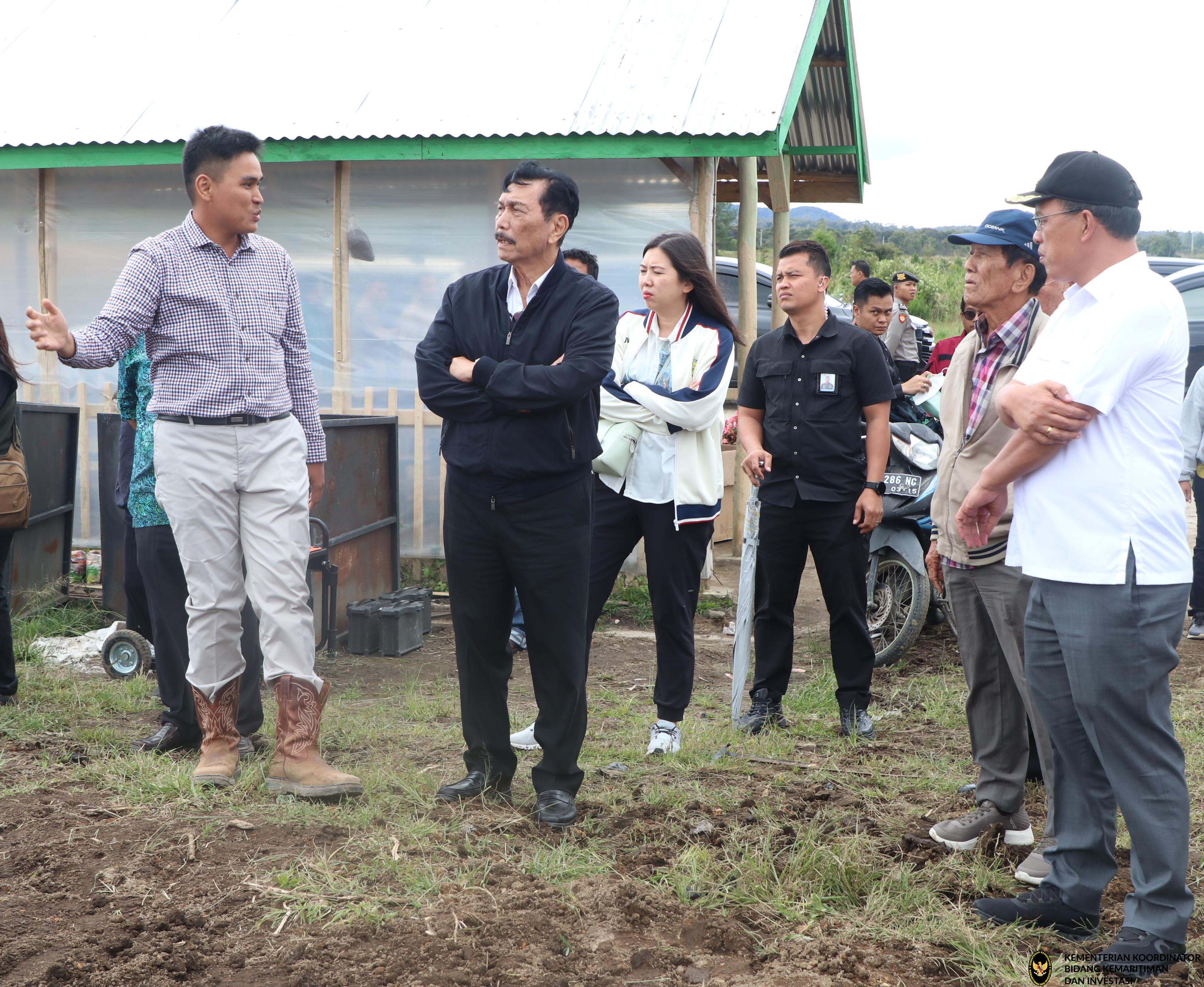 Menko Luhut B. Pandjaitan melakukan peninjauan Food Estate